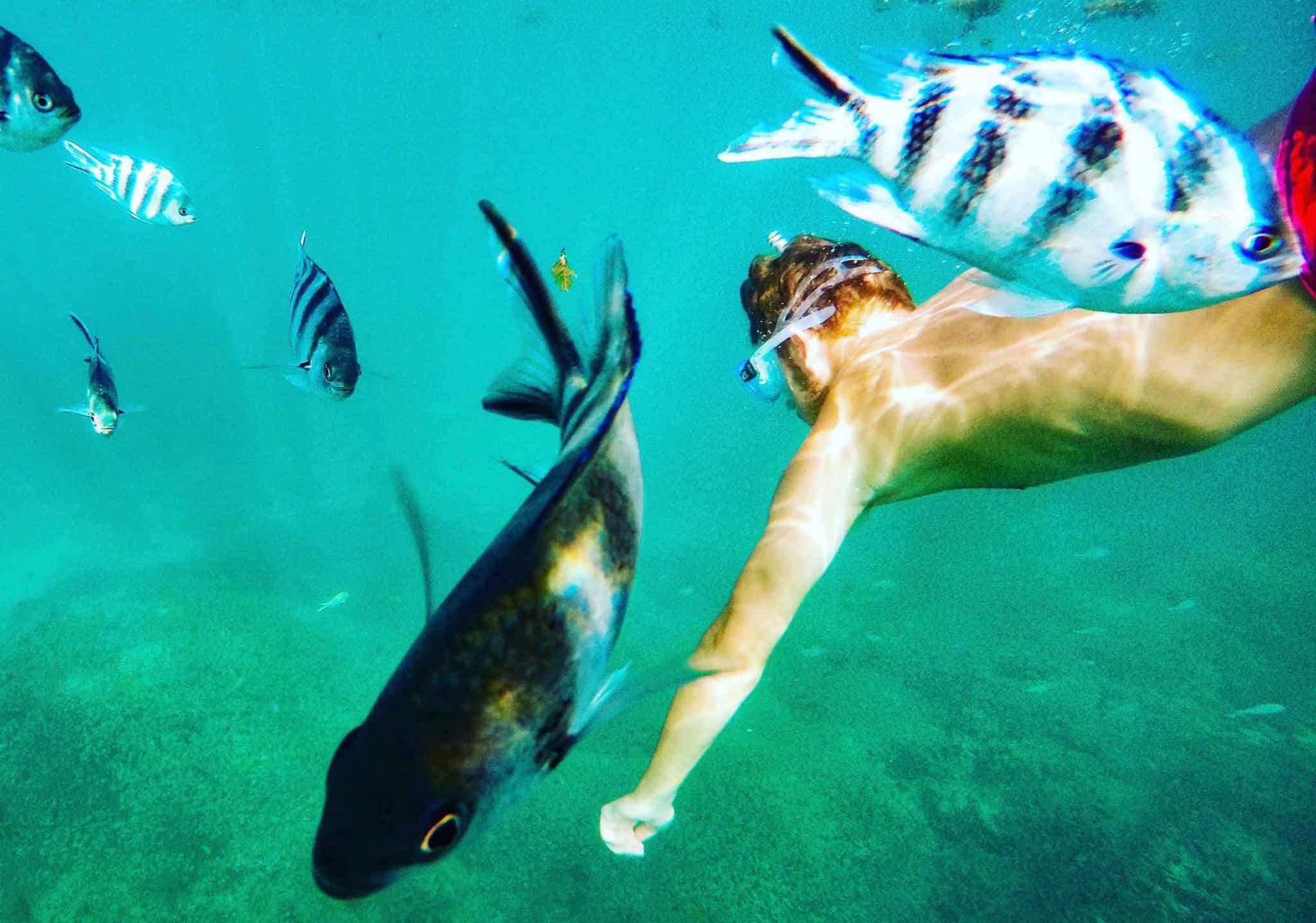 snorkeling in greece