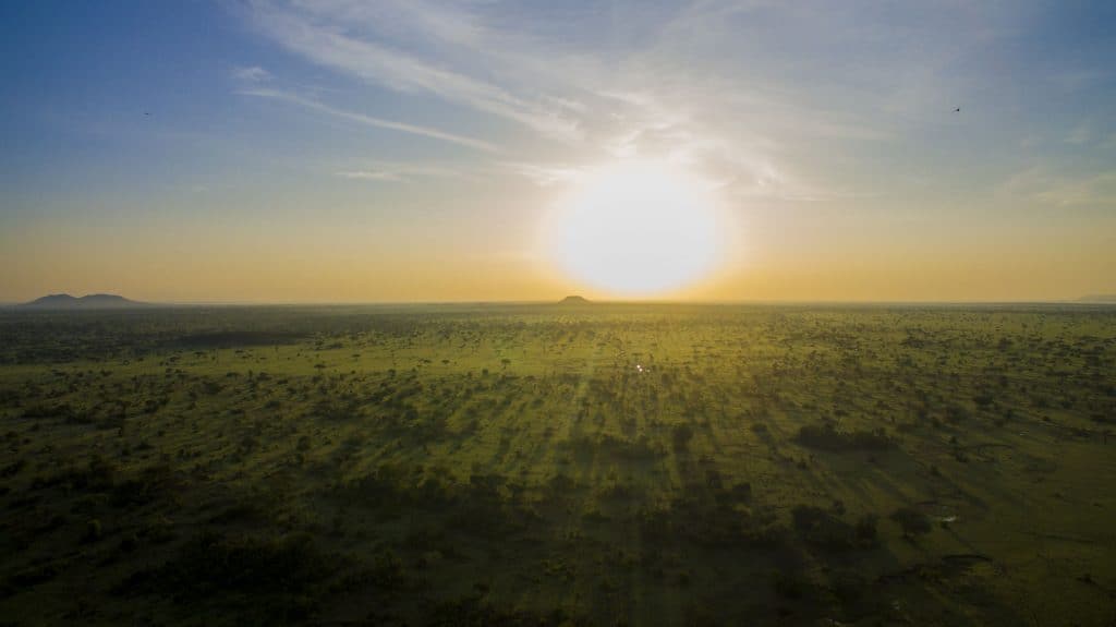 Sunrise over the Serengeti