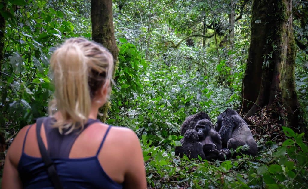 gorilla trekking travel guide