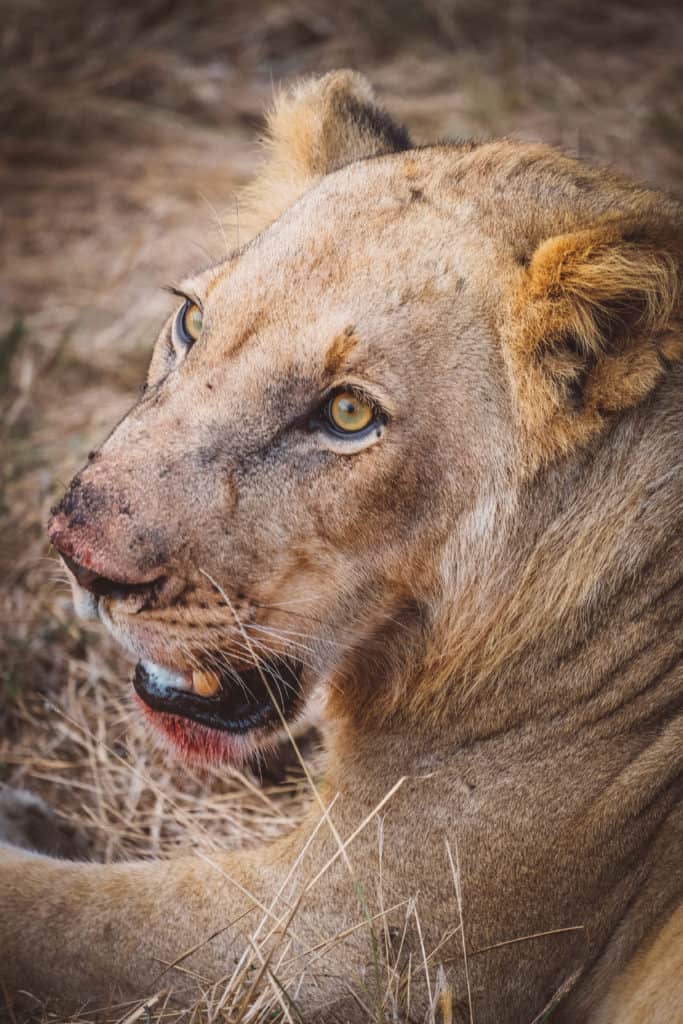 Etosha National Park