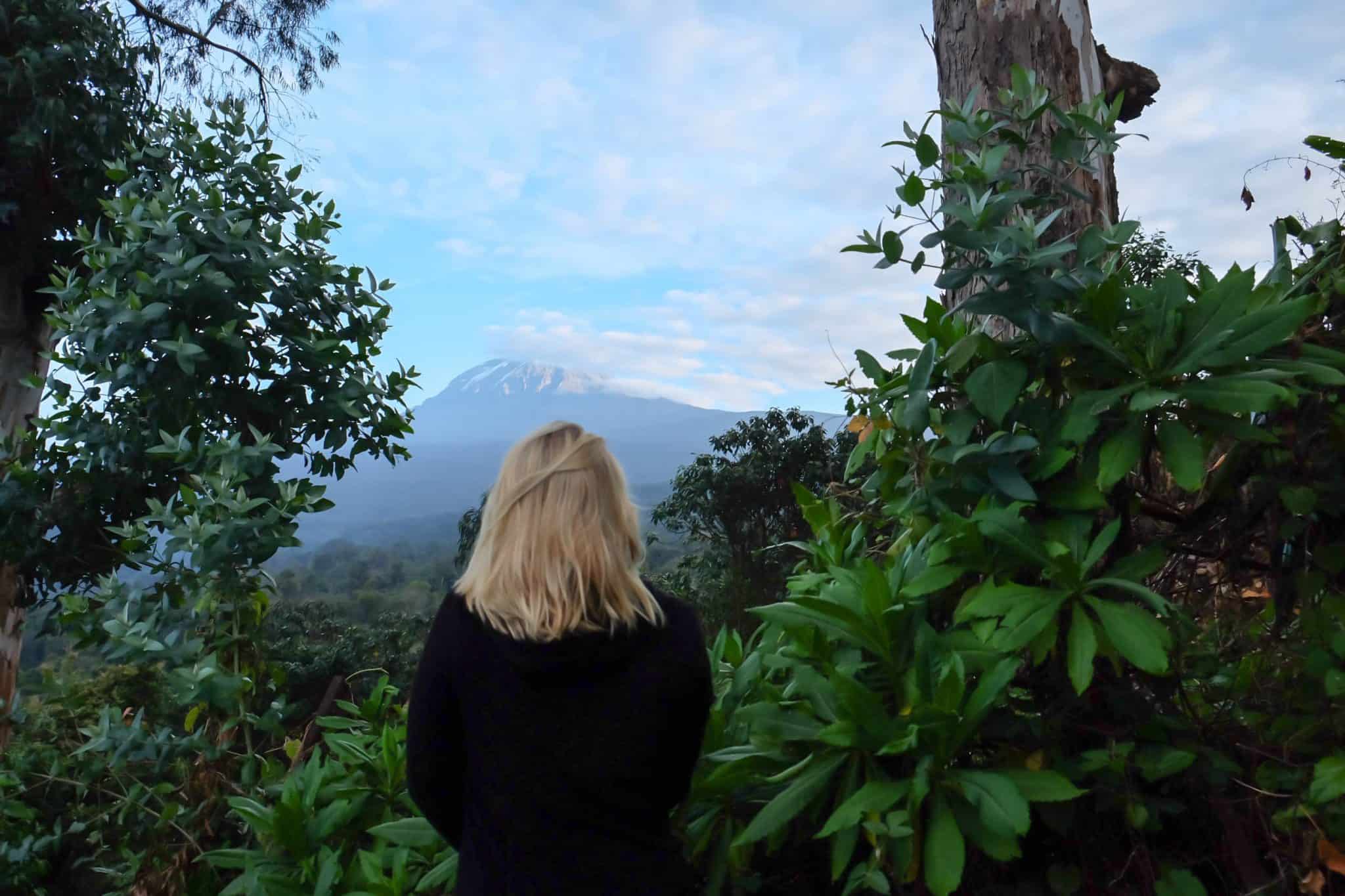  Mt. Kilimanjaro at Sunrise