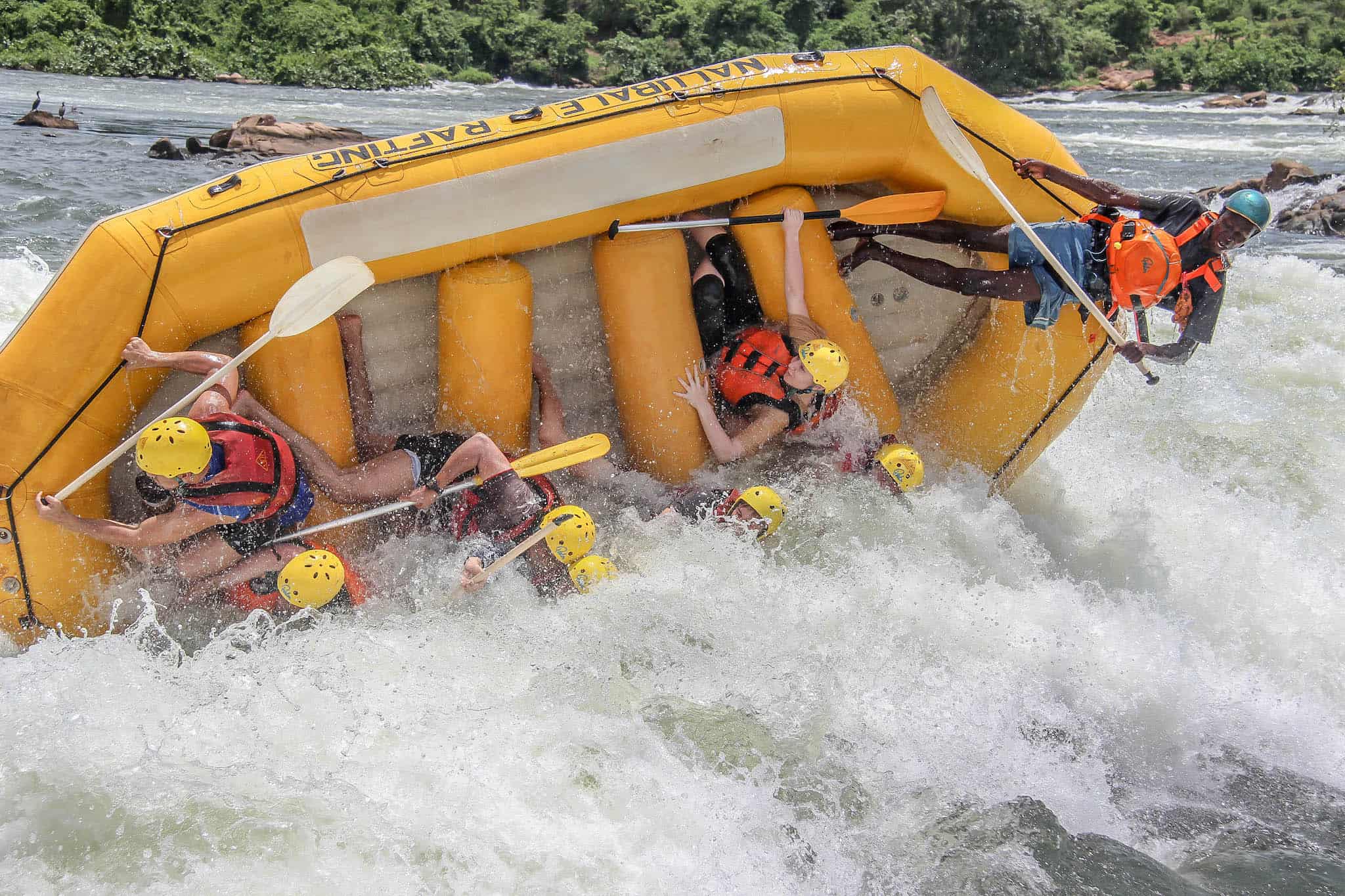 on the Nile