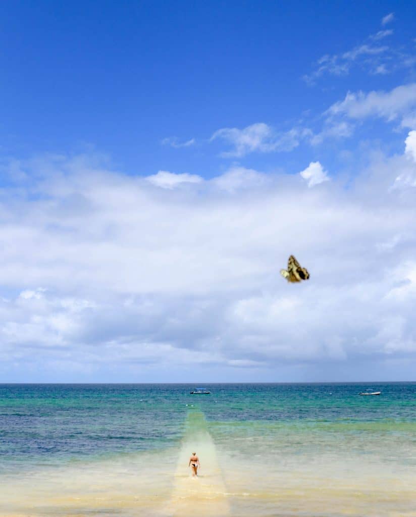 Beach Time at Kinondo Kwetu