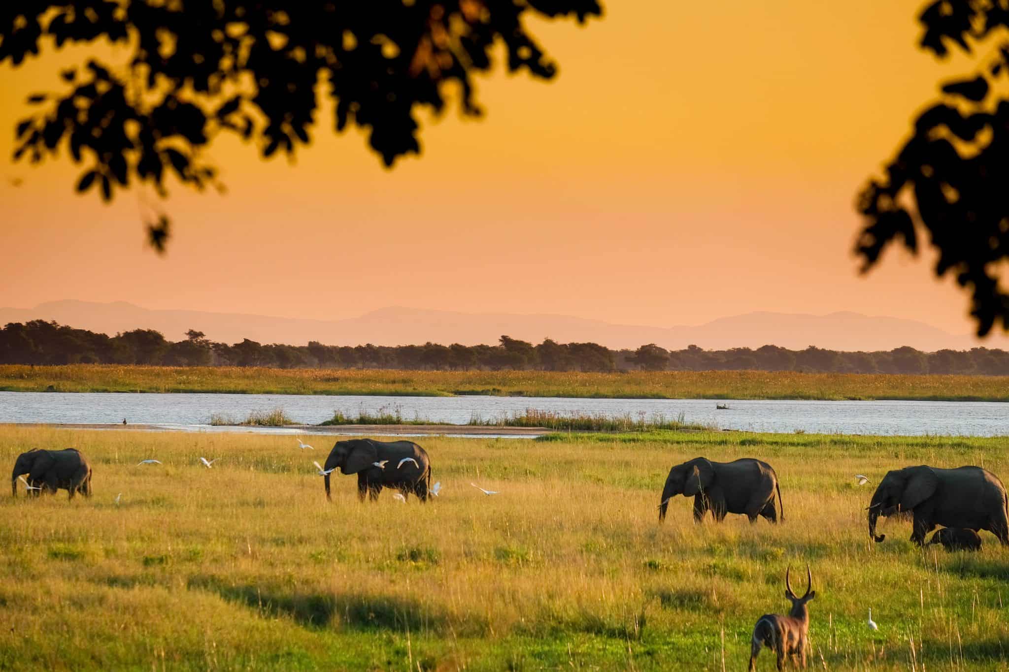 mana pools zimbabwe safari trip