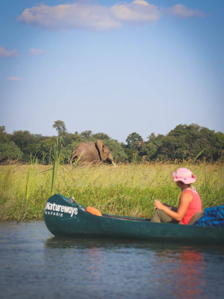 Canoe Safari Mana Pools