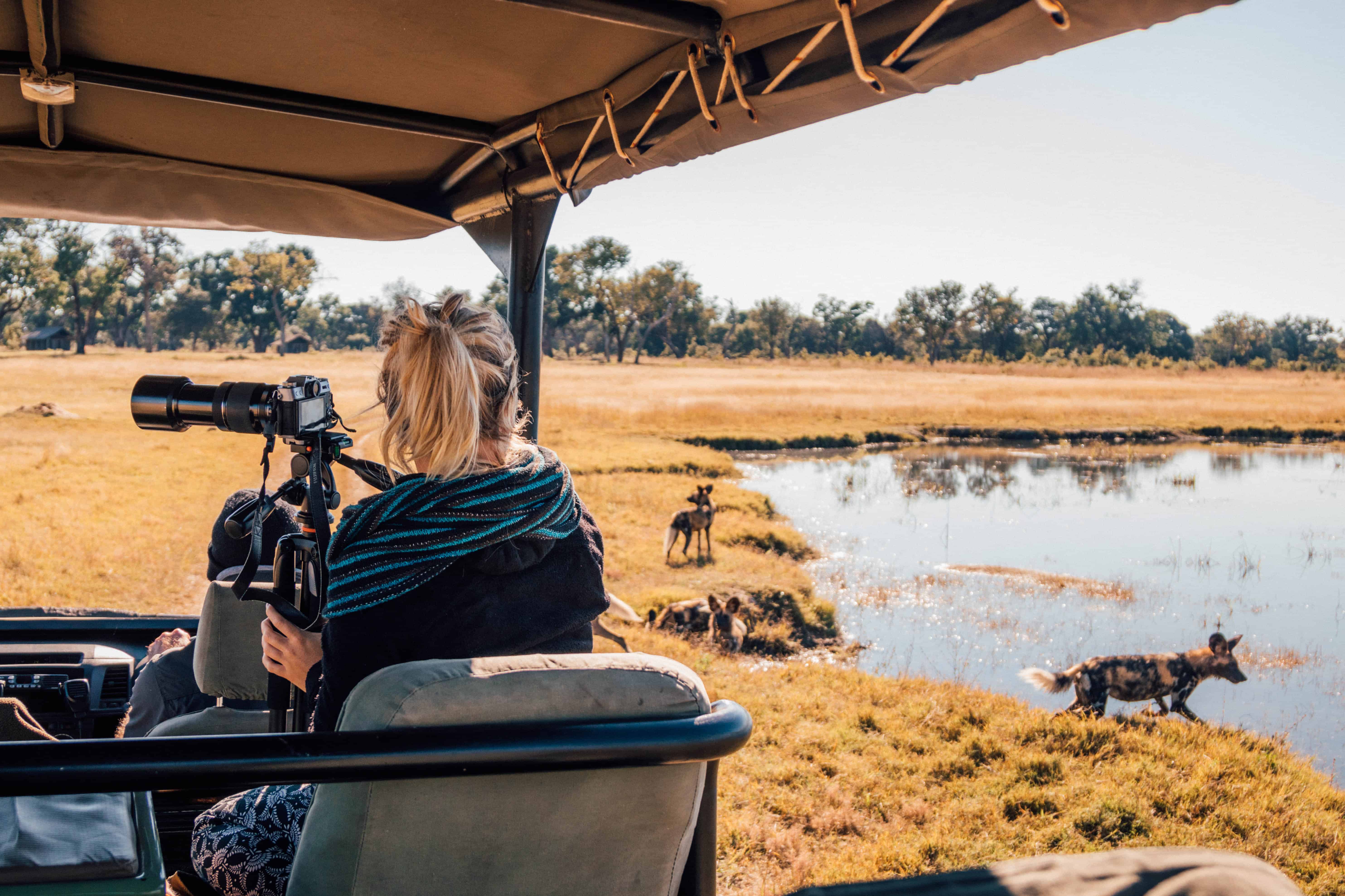 safari in hwange