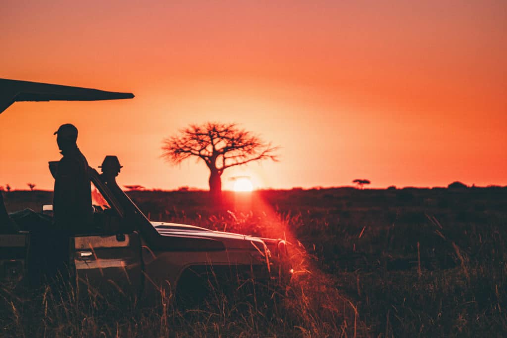 African National Parks