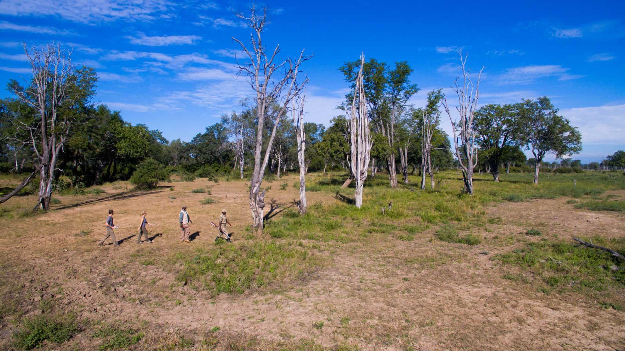 South Luangwa Walking