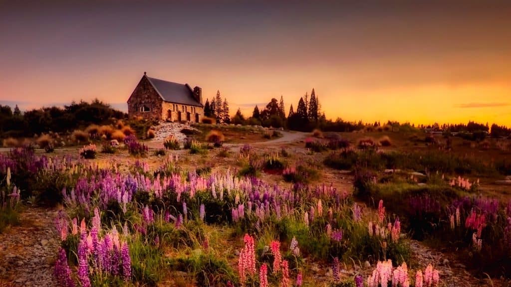 New Zealand