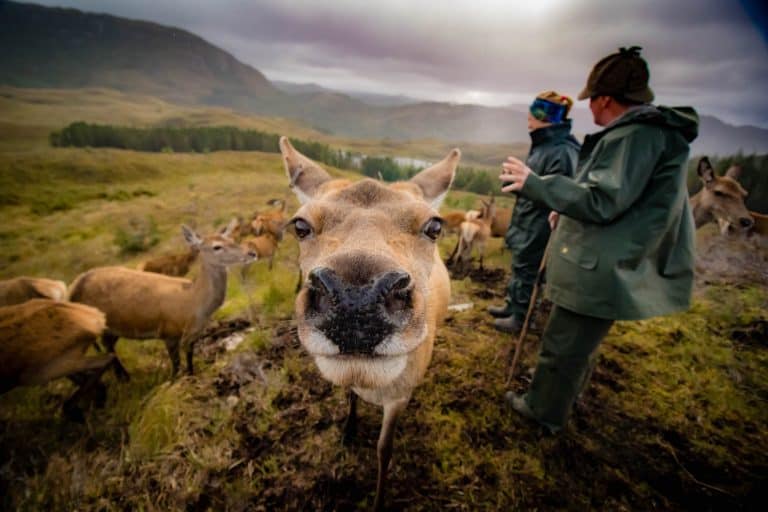 13 Things To Know BEFORE Renting A Car In Scotland