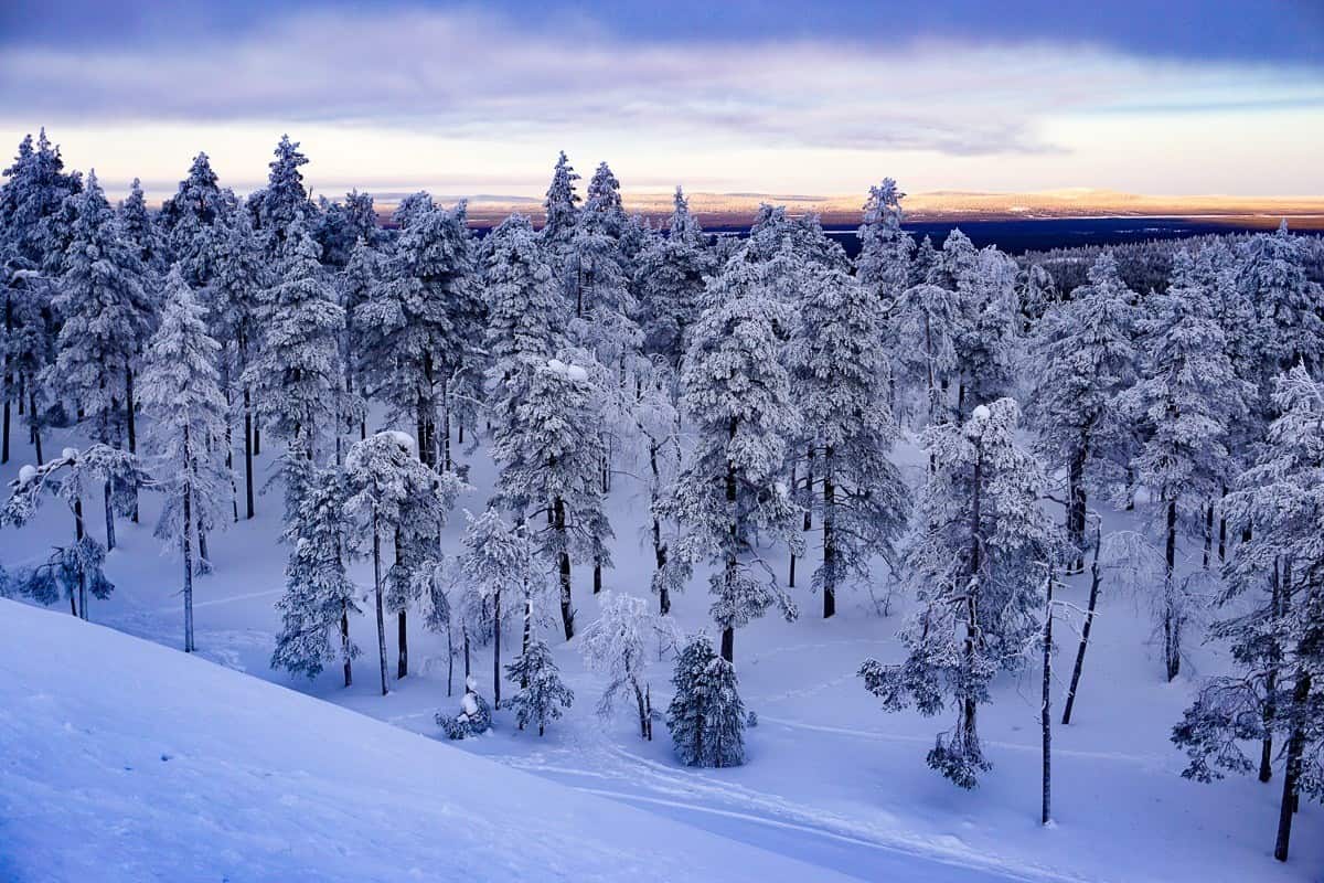 Finnish Lapland