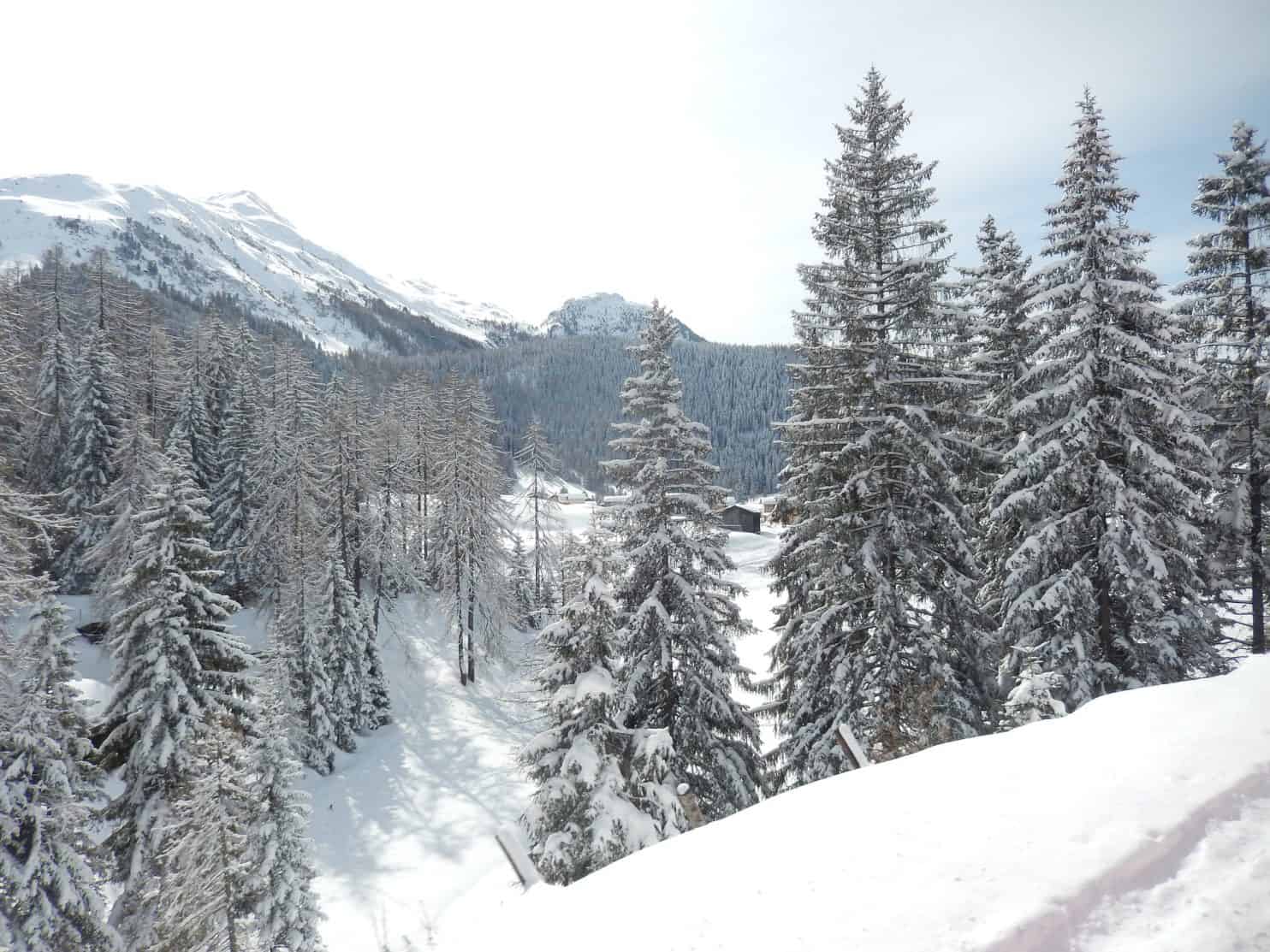 How To Have A Perfect Ski Vacation At Davos Ski Resort