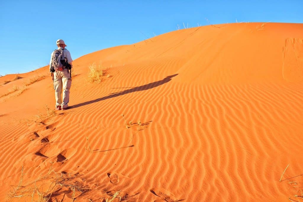 bush walk in the desert