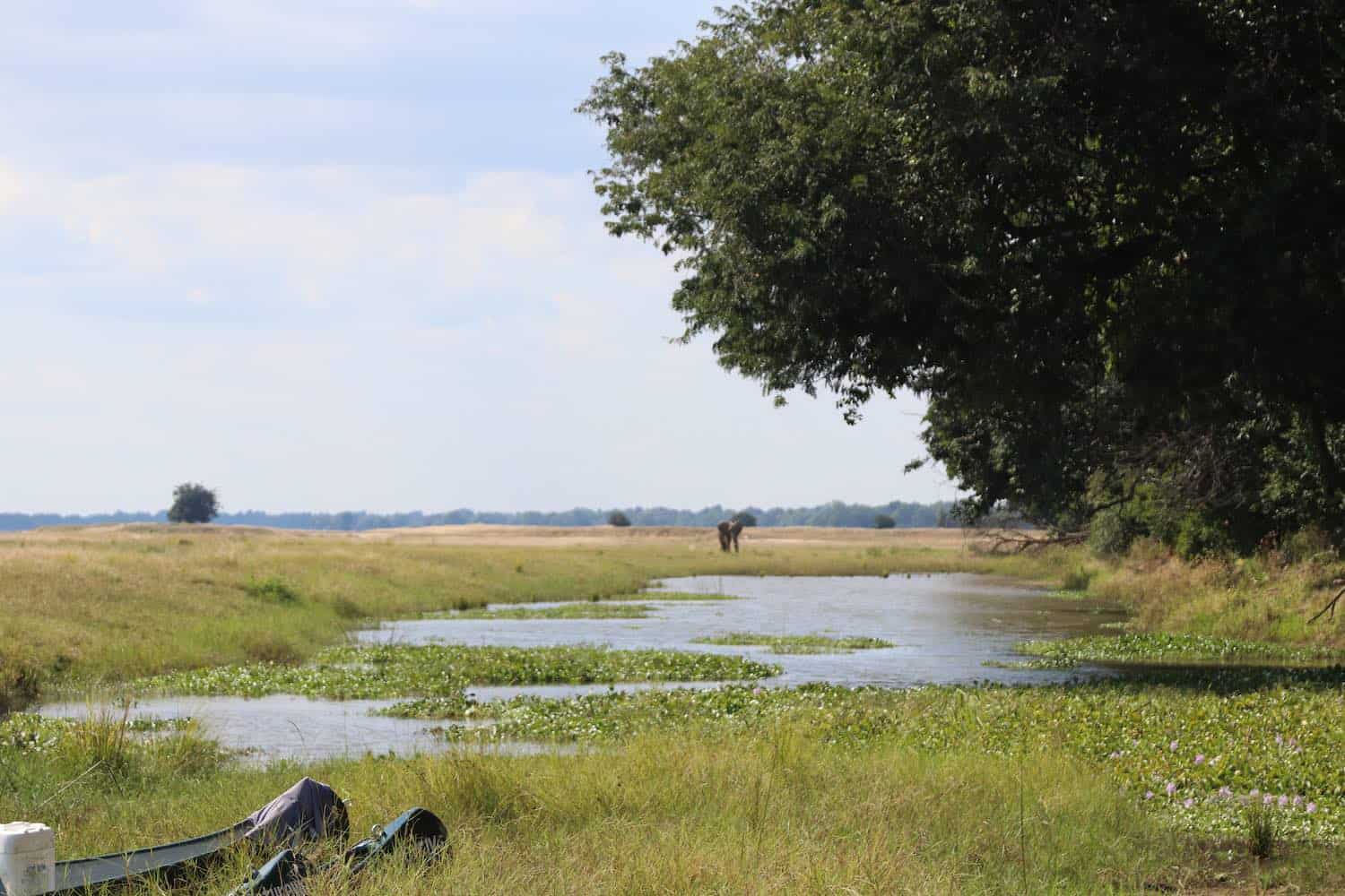 Canoe Safari