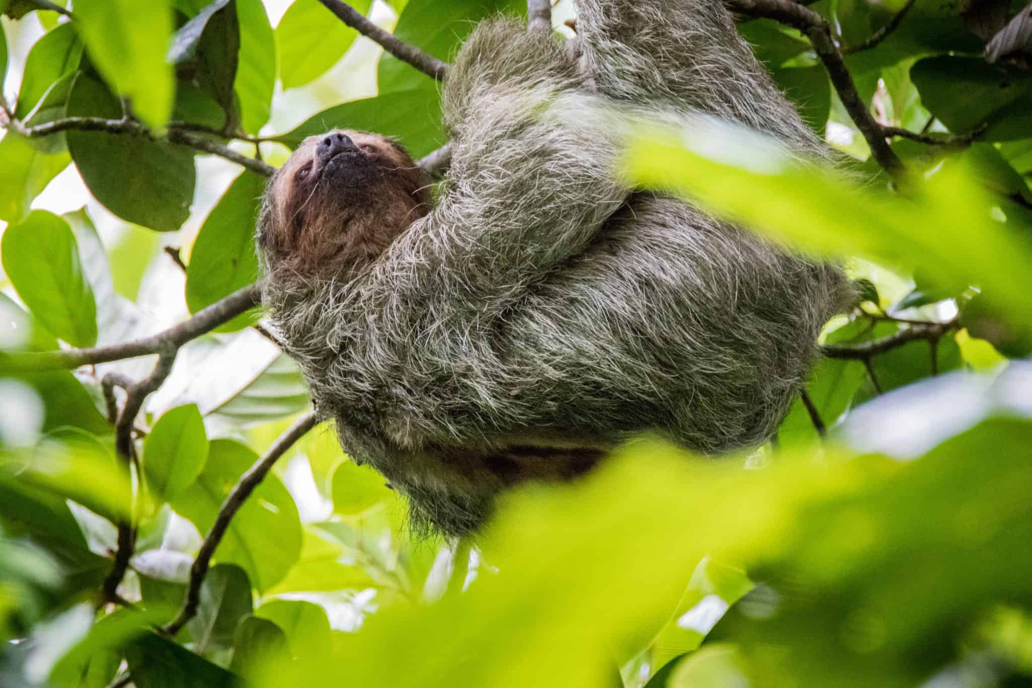 costa rica