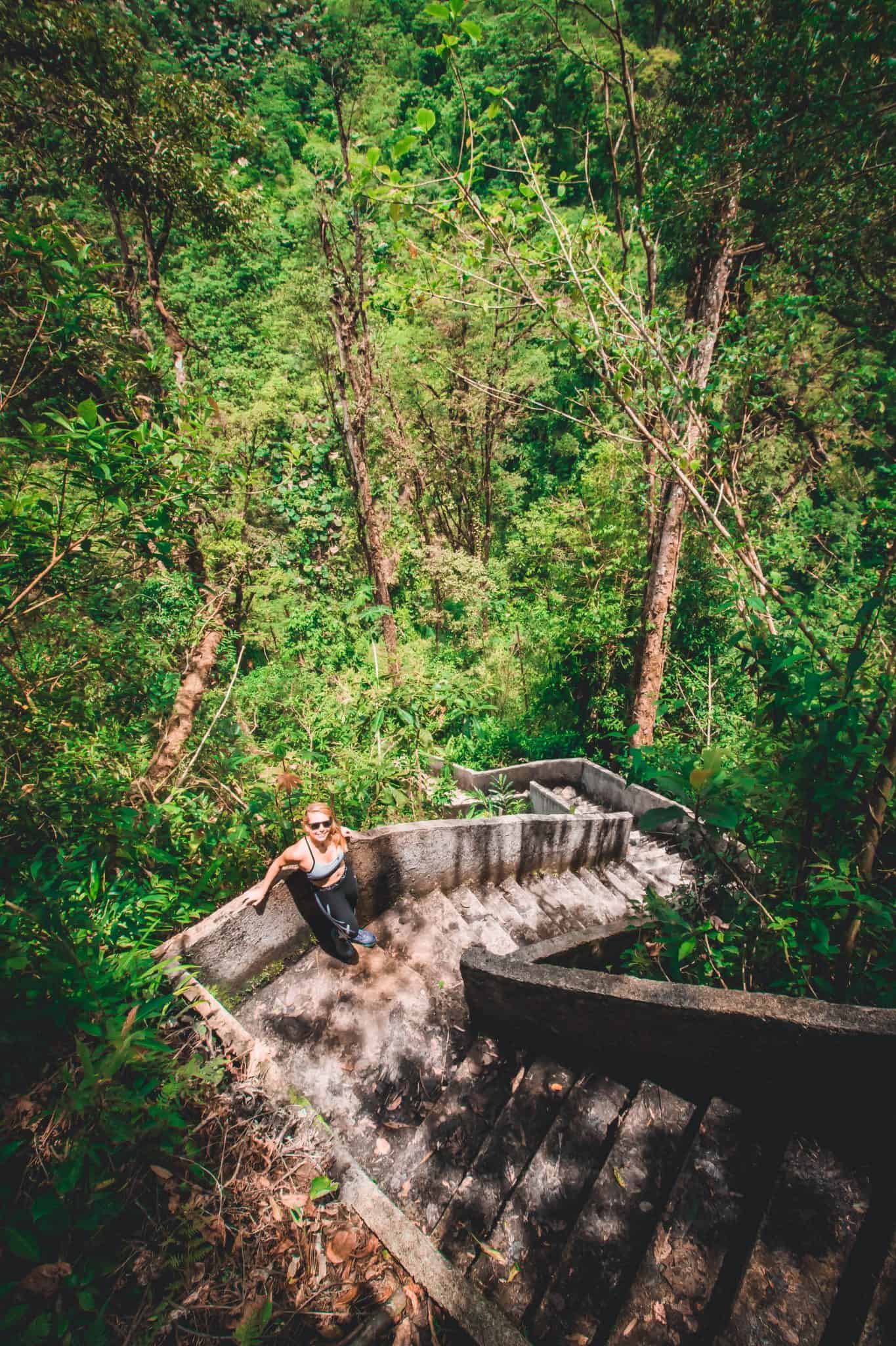 in the Costa Rican rainforest