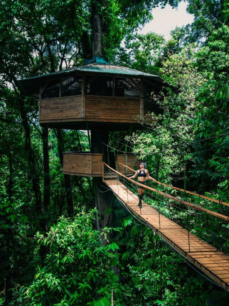 Travel in Costa Rica - Treehouse - Finca Bellavista