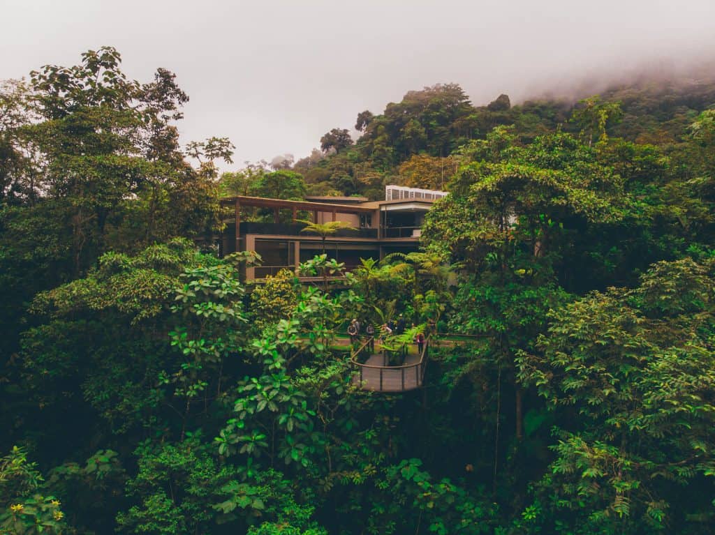 A Unique Eco Lodge in Ecuador • Experiencing Mashpi