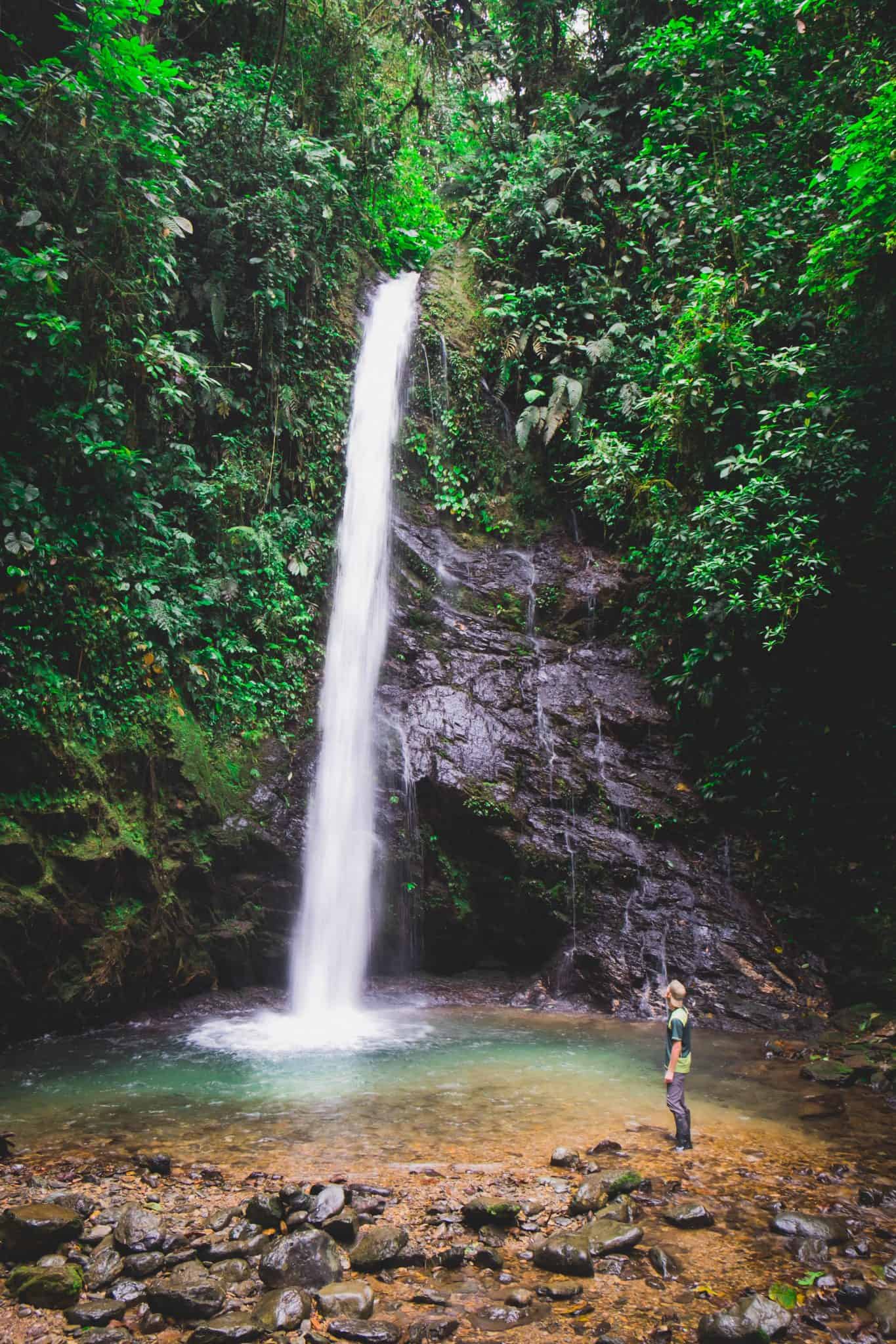 Mashpi Cloud Forest