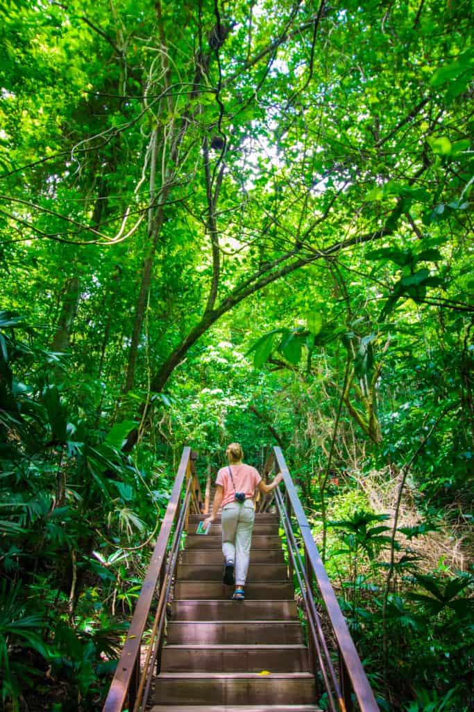 Lapa Rios Lodge