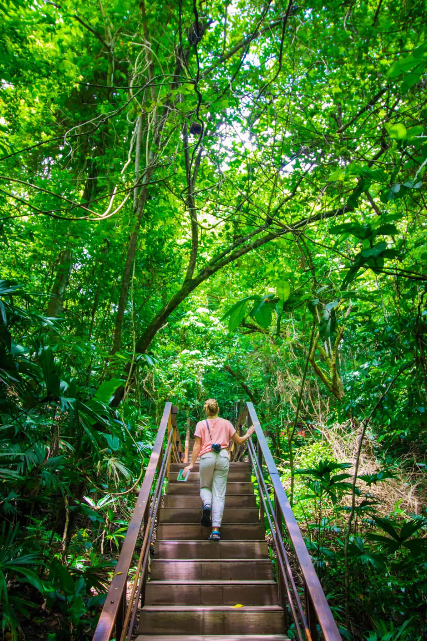  Lapa Rios Lodge