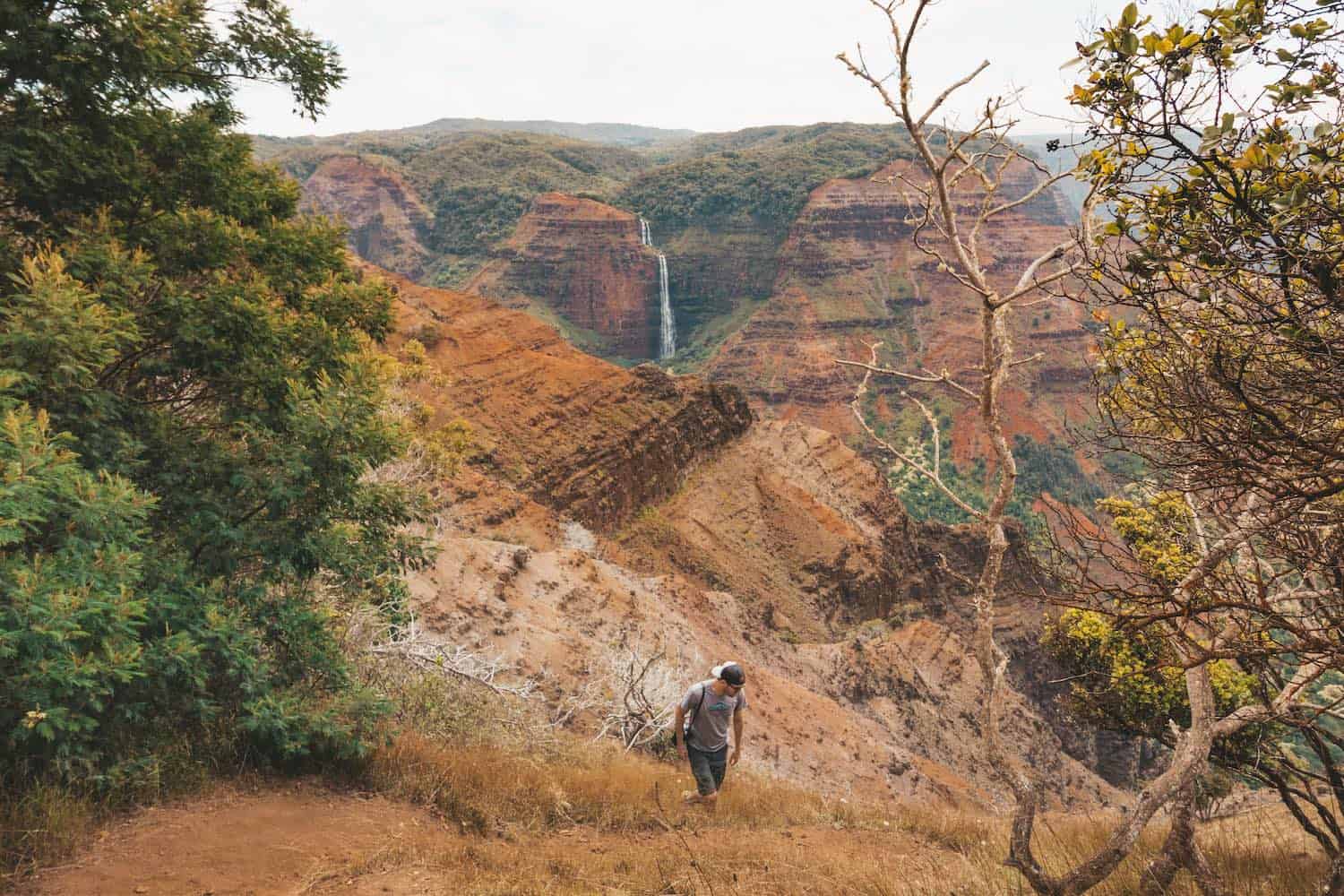 Waimea Canyon