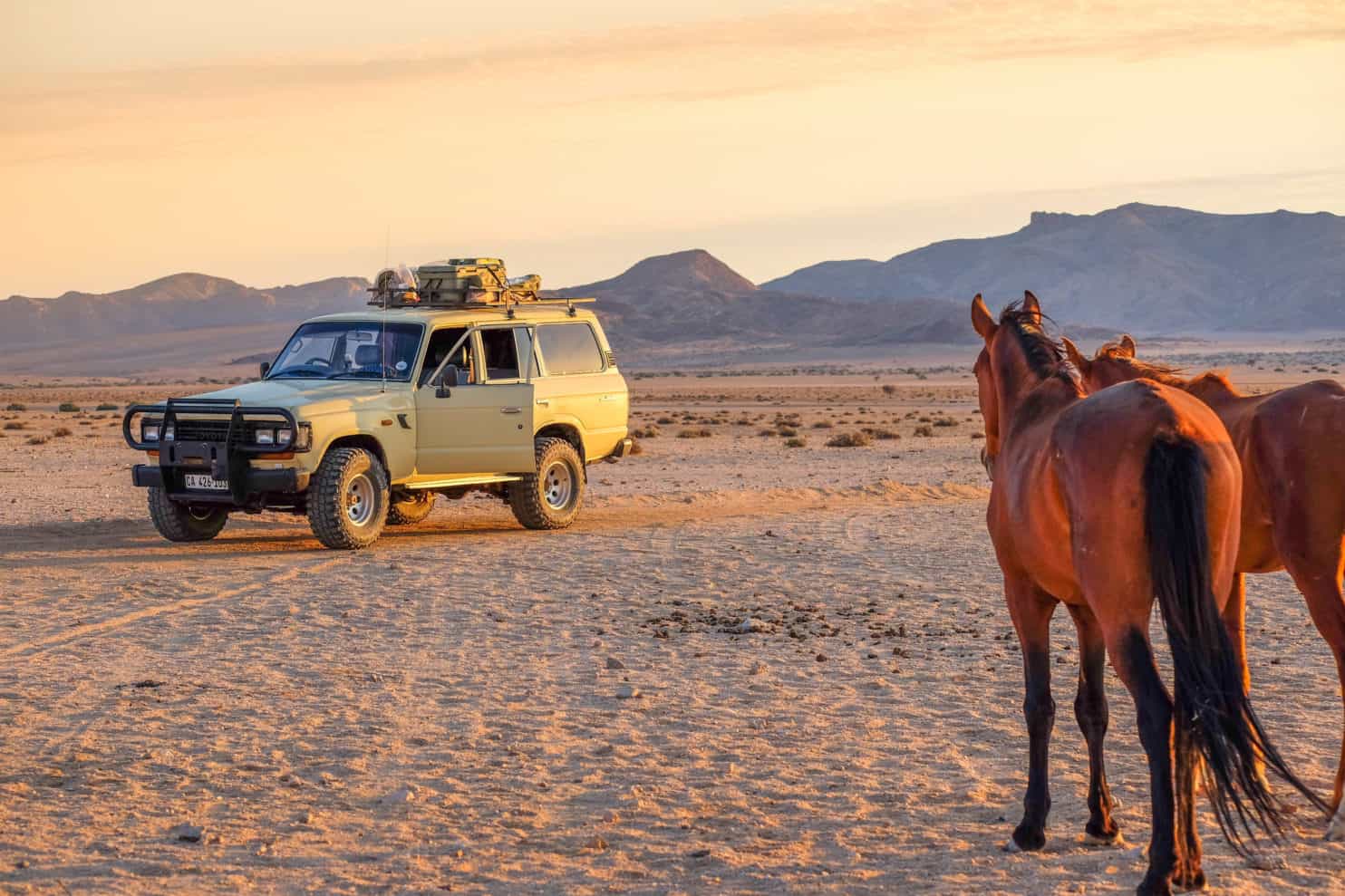 Buying A Car In South Africa As A FOREIGNER