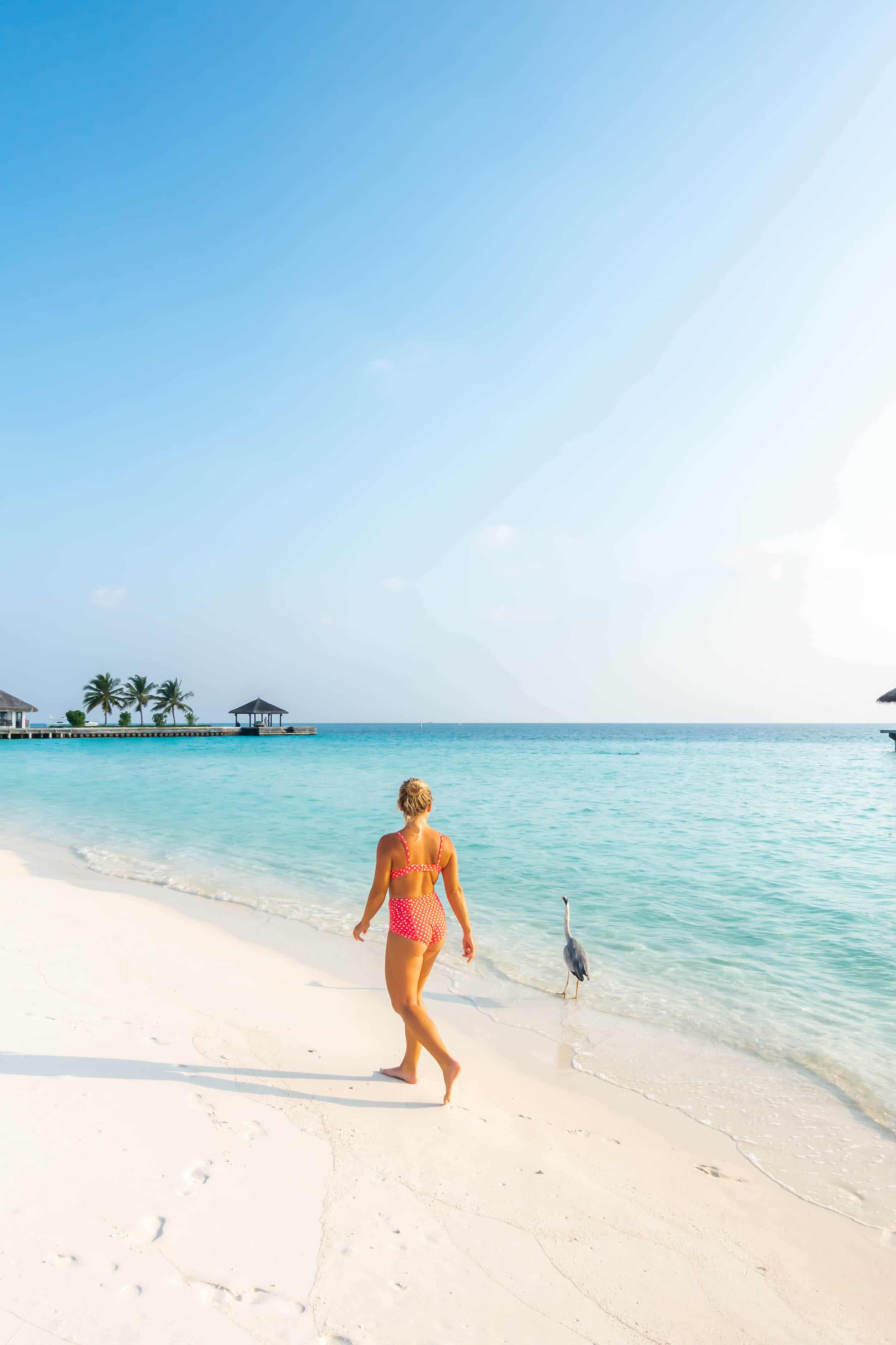 Maldives as a Safe Haven: What to Know Before You Go: Travel