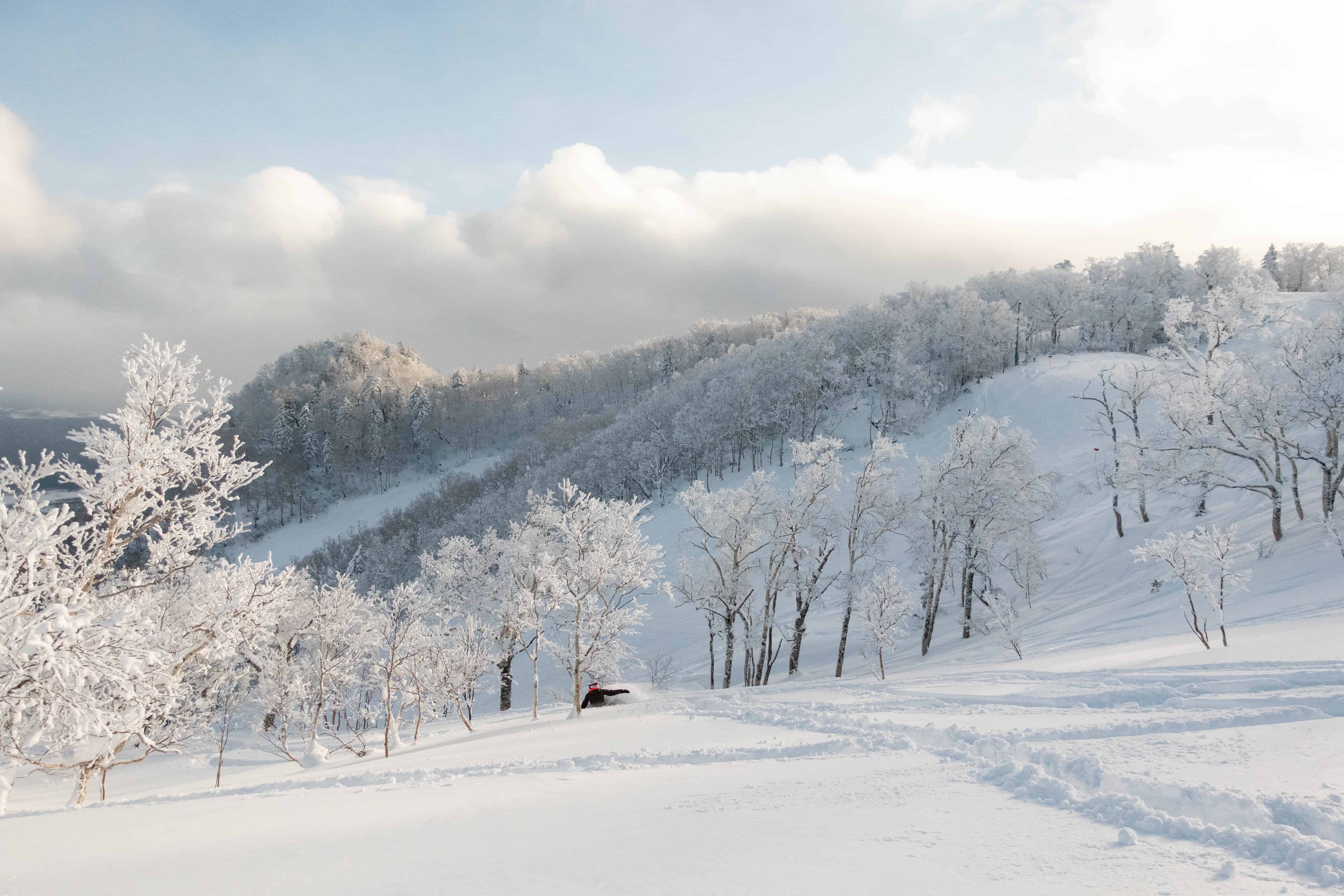 Furano Ski Resort - Snowboard