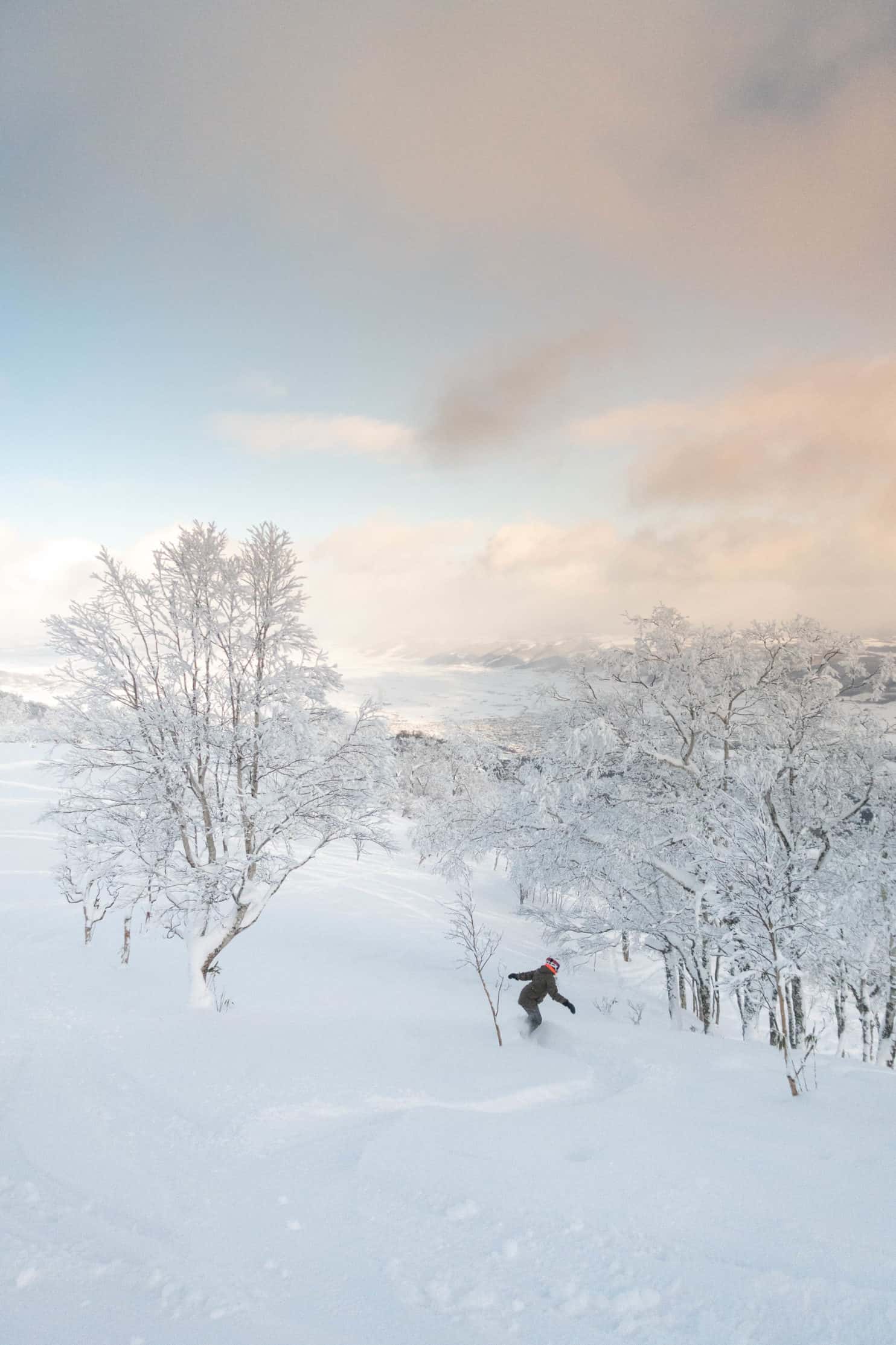 When Is The BEST Time To Visit Hokkaido?