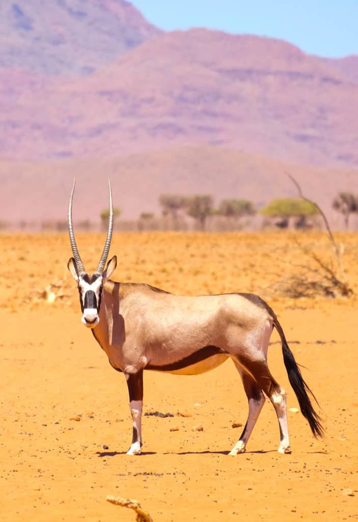 Travel Namibia