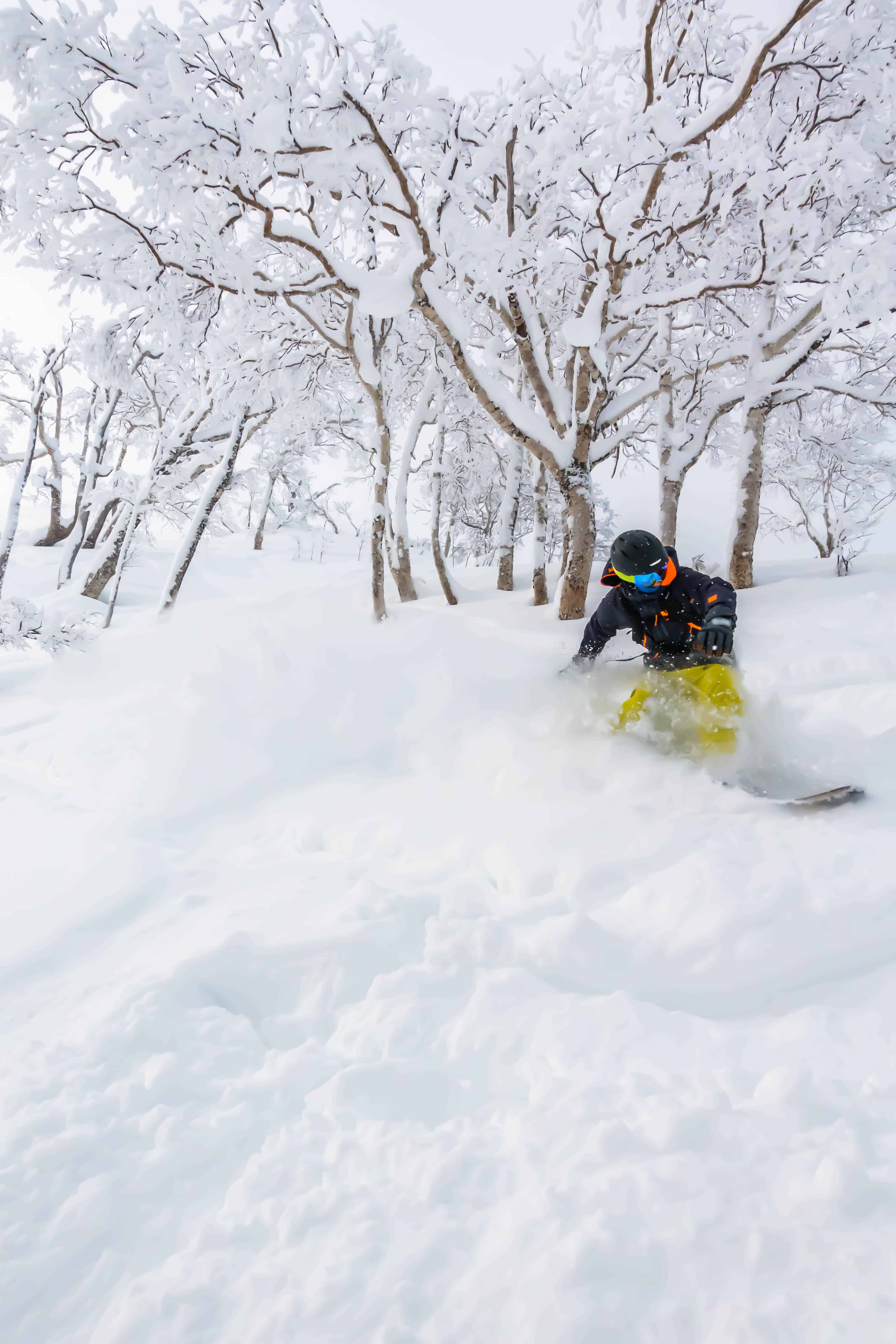 Niseko Ski Resort