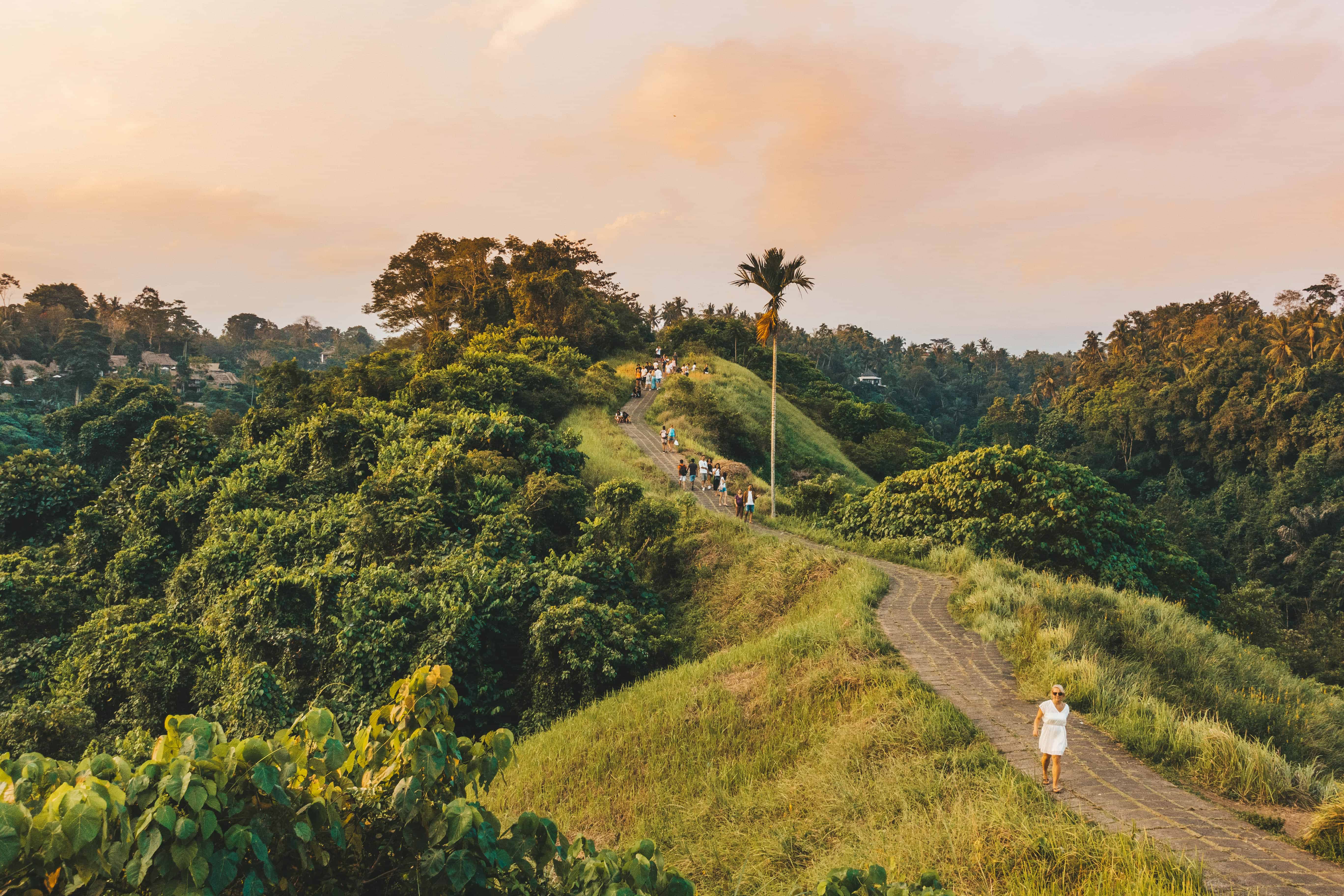 Campuhan Ridge Walk