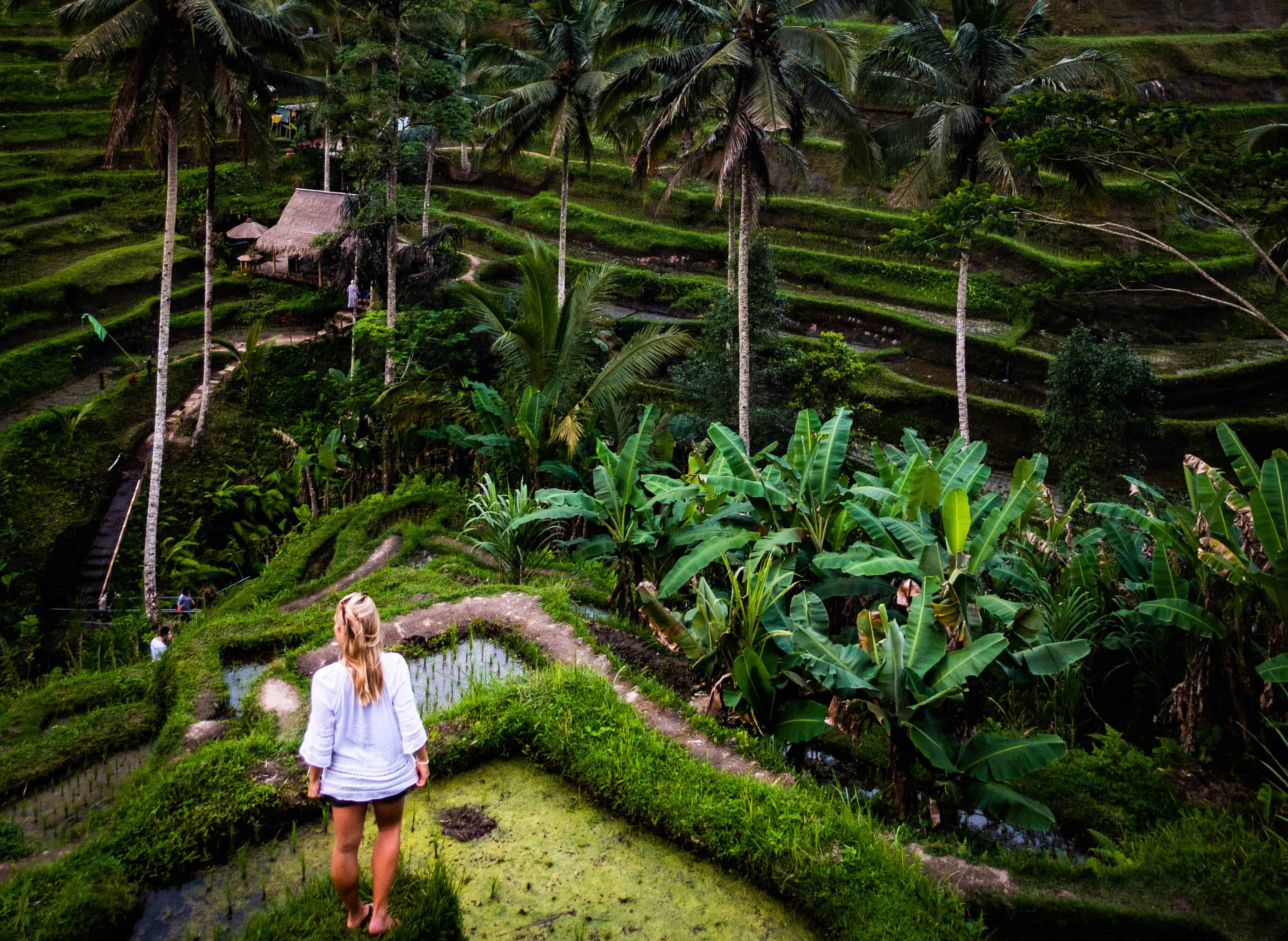 places to visit near ubud bali