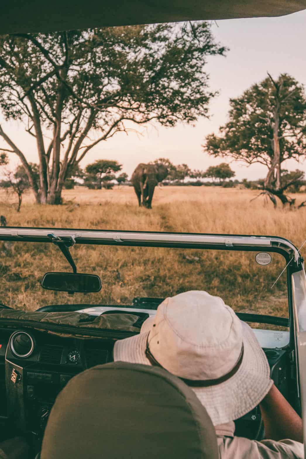 Africa's Big Five • Animals to Spot on Safari