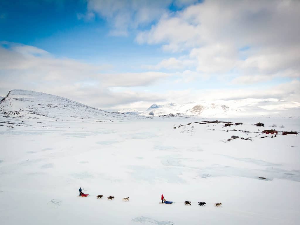 Dog Sledding — Winter in Norway — Frozen LAke