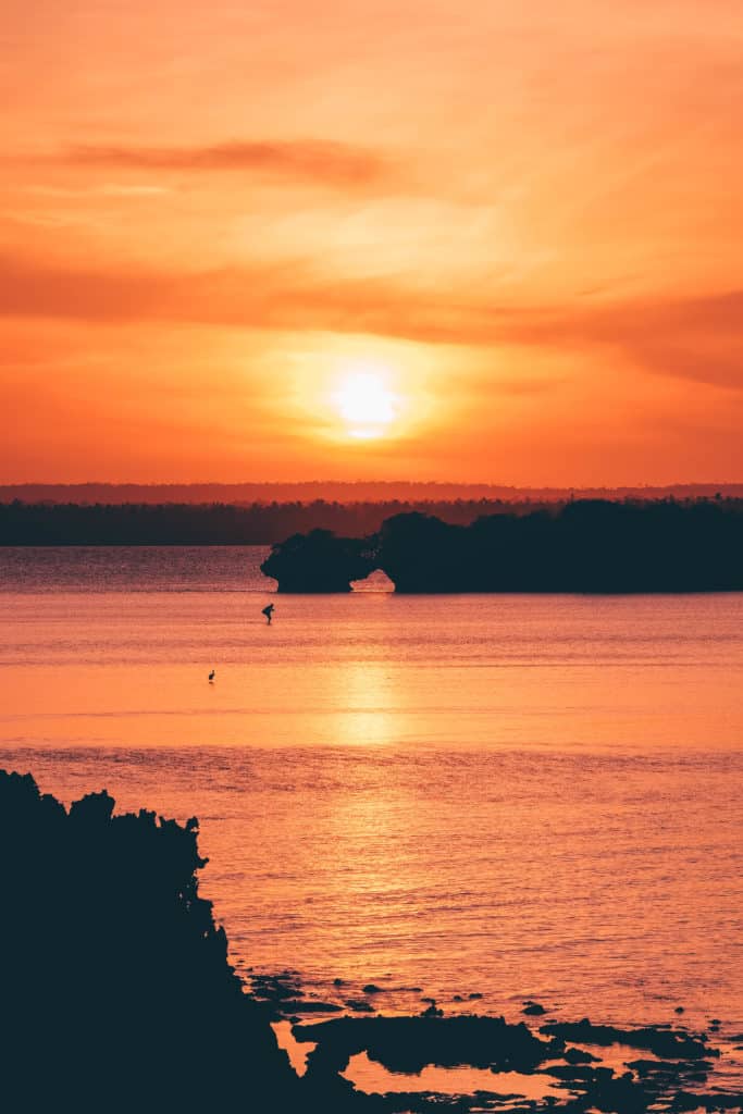 Diani Beach Hotels