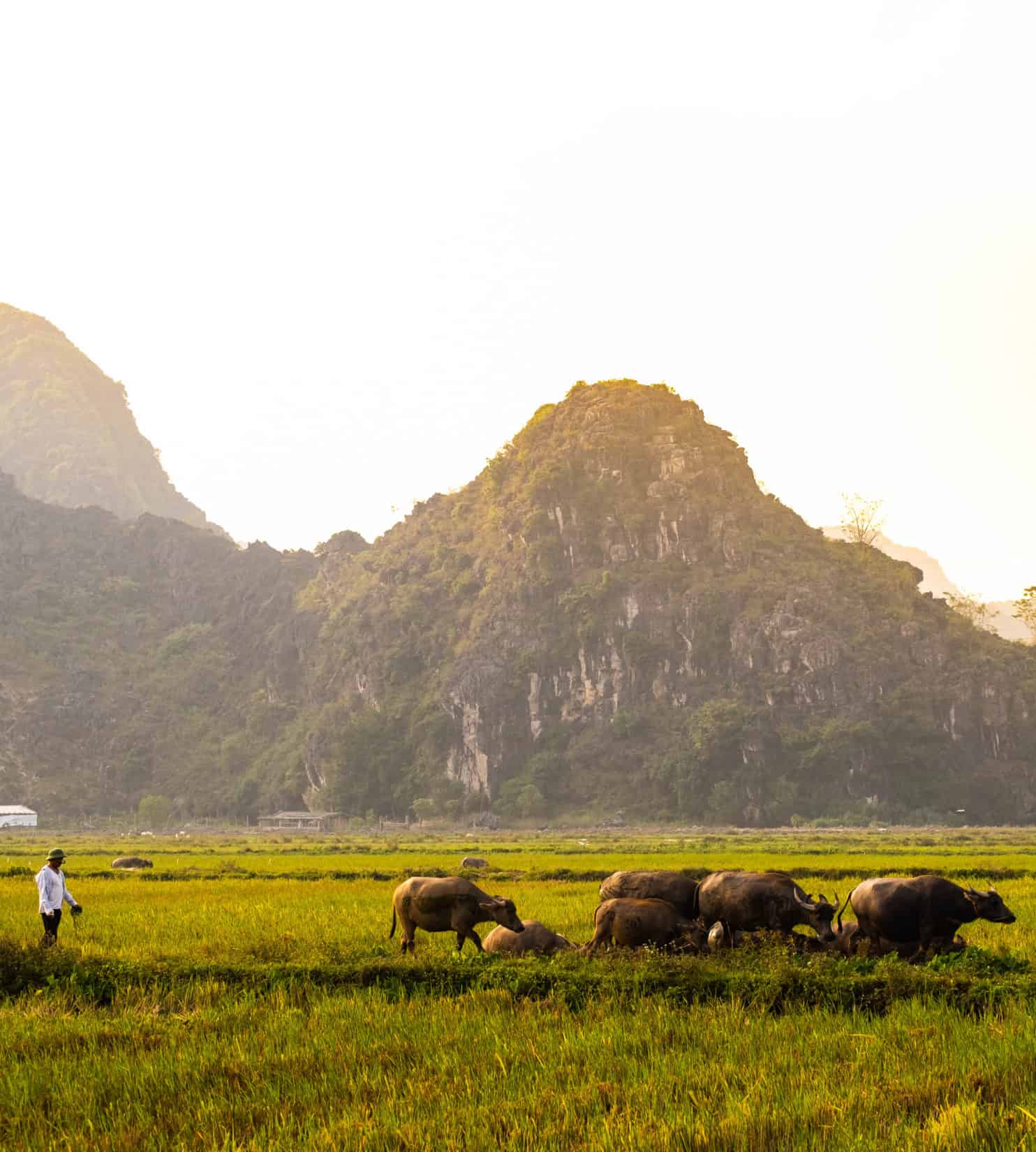 15 Best Places To Visit In Vietnam