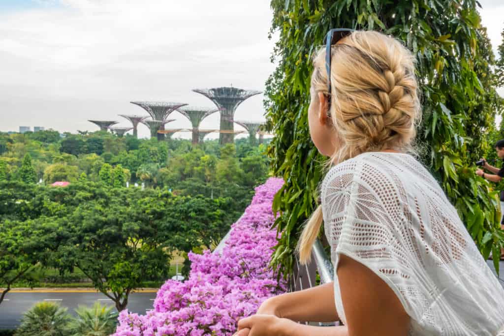 Singapore Layover