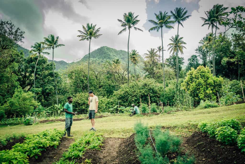 St Lucia