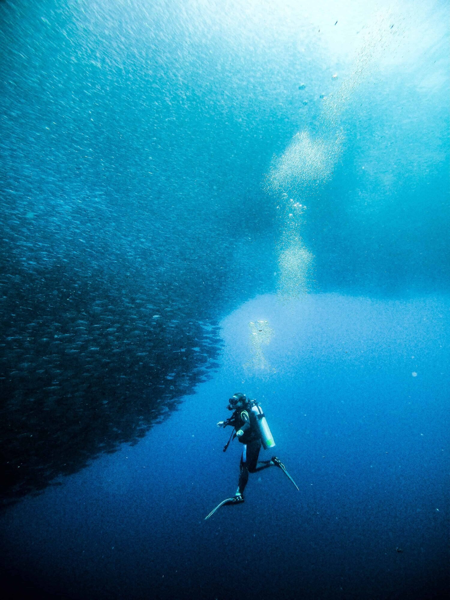 scuba diving in the Philippines