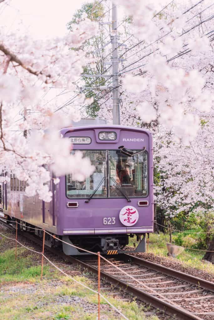 Things to do in Japan