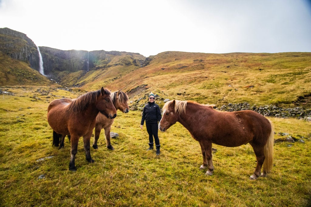 travel shows on iceland