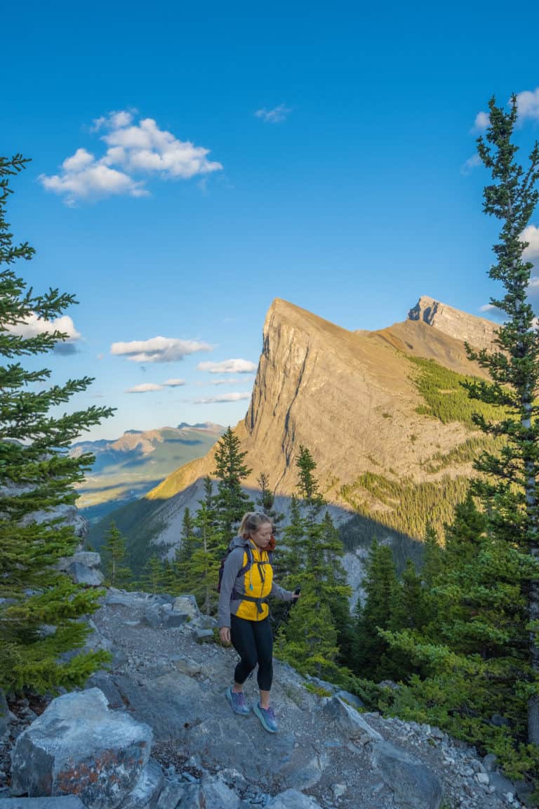 The 15 Best Hiking Poles to Save Your Knees