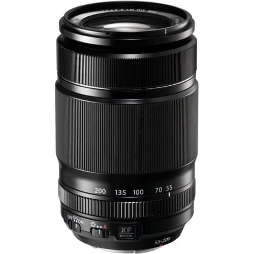 Best Camera Lens For Safari