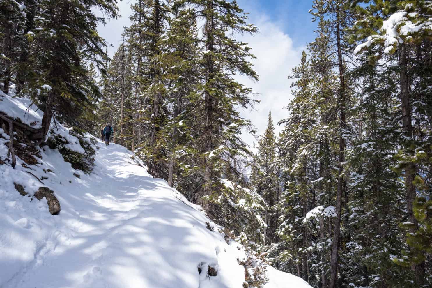 Hiking In The Snow 10 Helpful Tips To Know Before You Adventure!