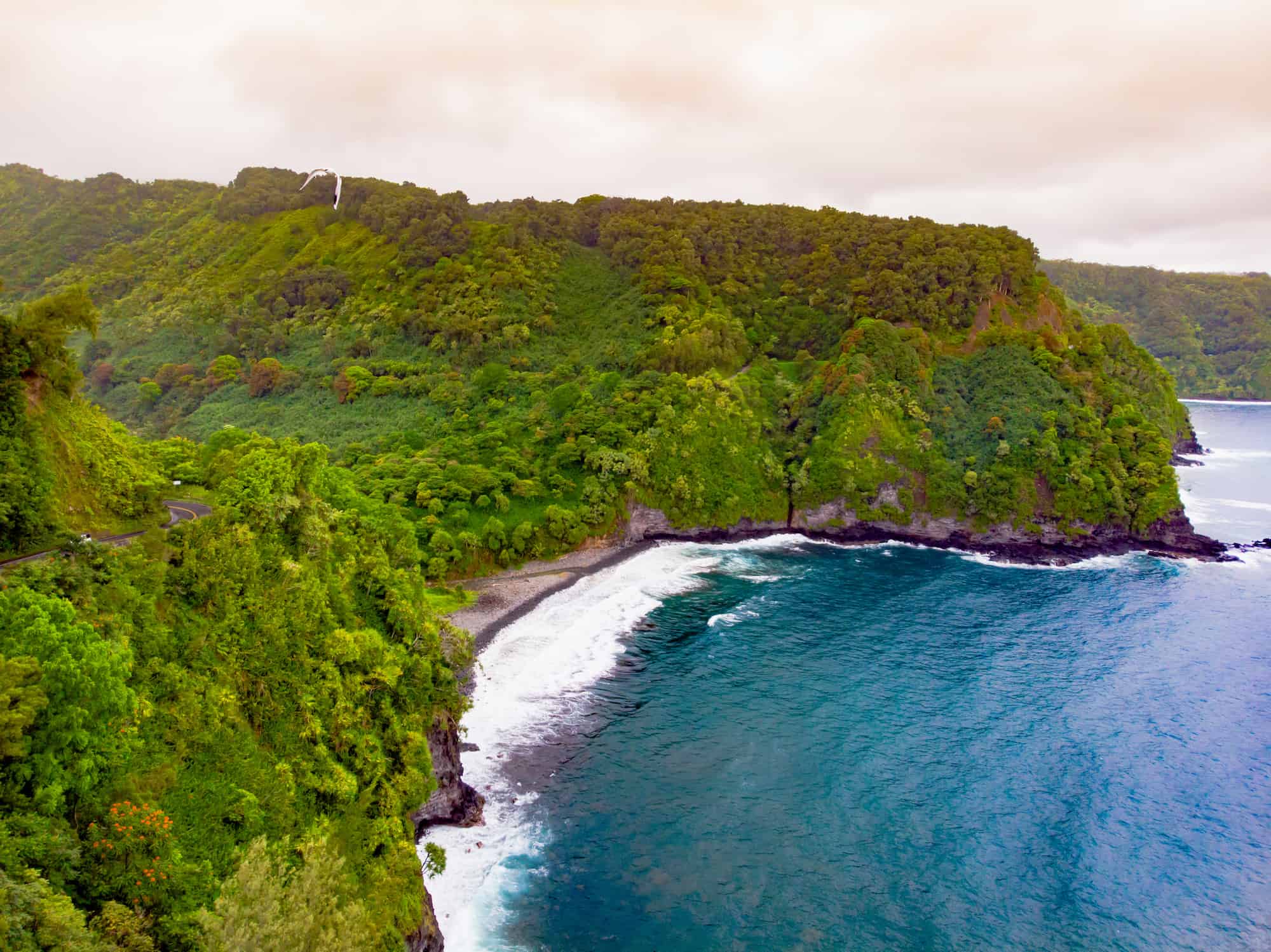 travel forum maui