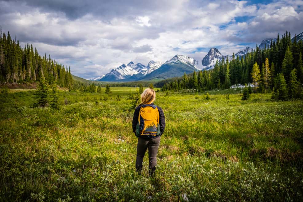 Renting A Car In Canada 20 Things To Know Beforehand