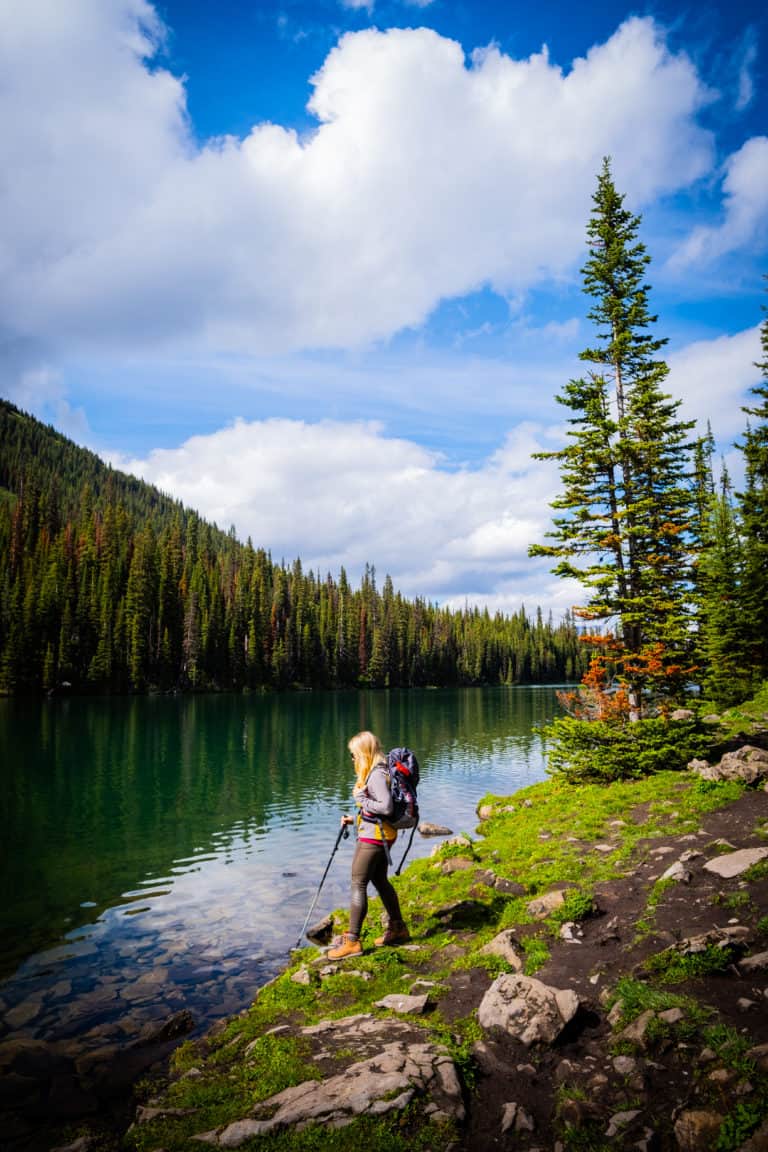 Best hiking poles