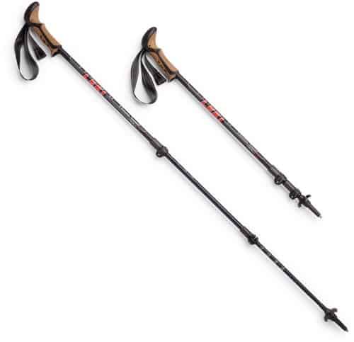 Leki Makalu Lite Cor-Tec Best Hiking Poles